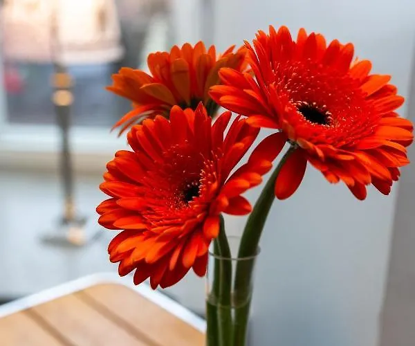 Apartment Seven - Old Town *