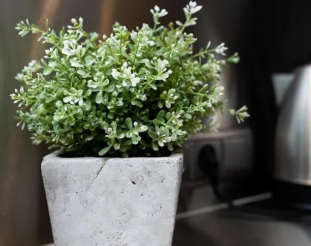 شقة Seven - Old Town *