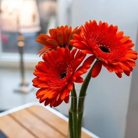 דירה Seven - Old Town *