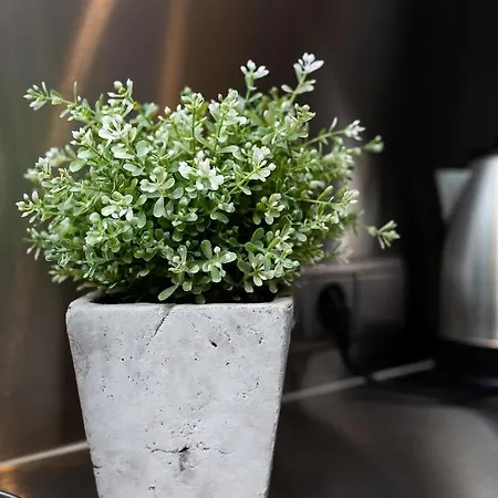 דירה Seven - Old Town *